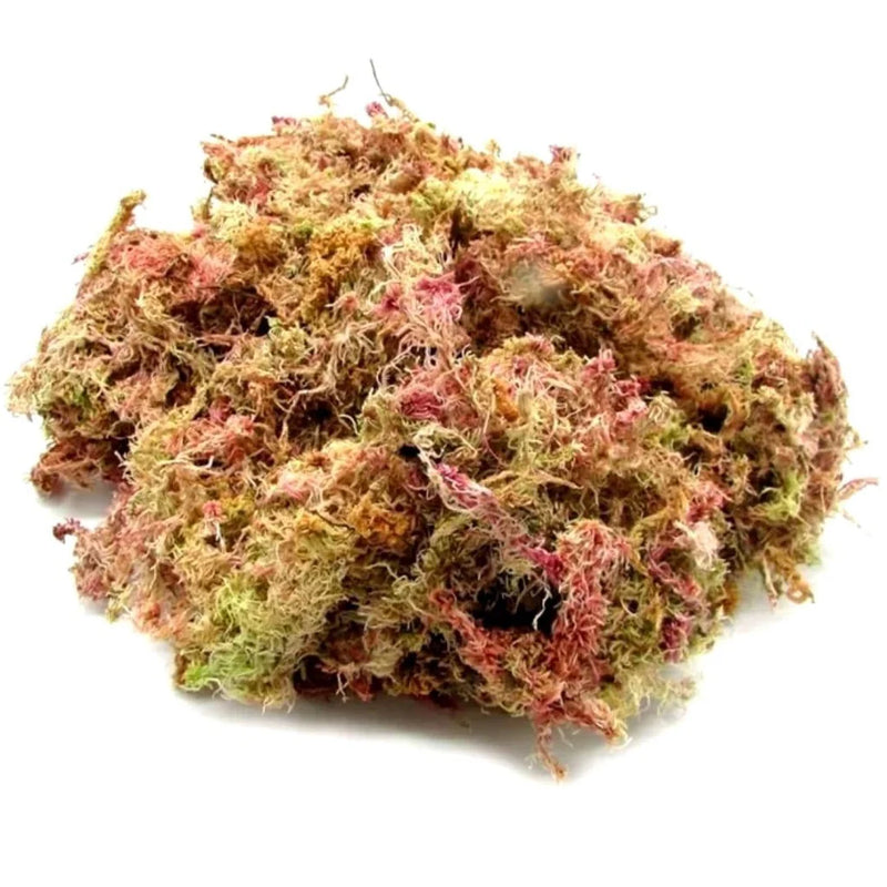 Musgo Esfagno Rosado Seco para Orquídeas e Plantas Carnívoras 3L